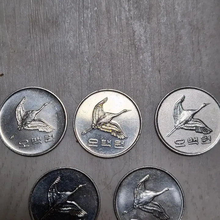 [BUNJANG] Various Years 500 KRW Coin Collection (1991, 2014, 2016, 2019) / 특년도 1991. 2014. 2016. 2019
