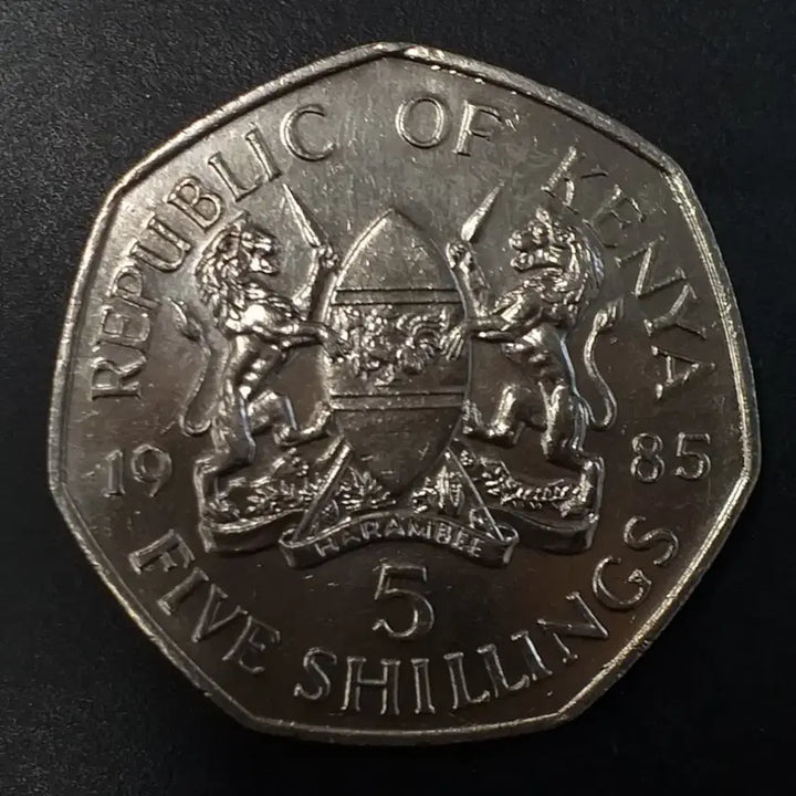 [BUNJANG] 1985 Kenya 5 Shillings Coin / 1985년 케냐 5실링 동전 w1151