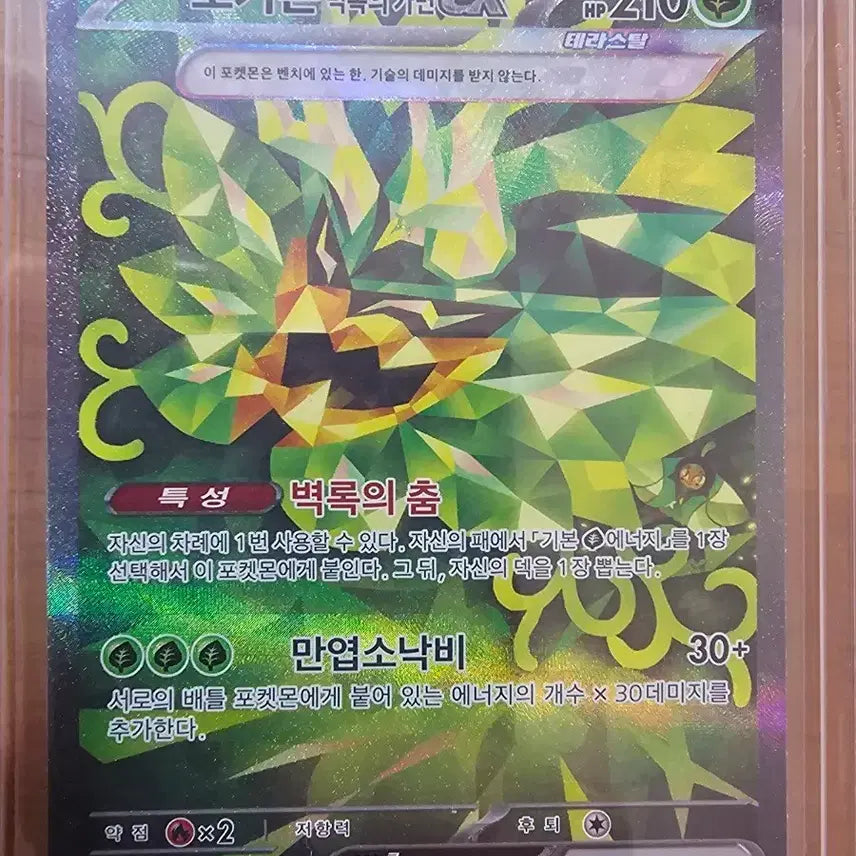 [BUNJANG] Pokemon Ogerpon Teal Mask EX Terastal Card / (판완)포켓몬 오거폰 백록의 가면 EX 테라스탈