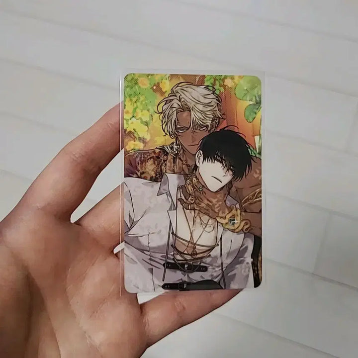 [BUNJANG] Baekya Splash Header Photocard, Can Badge, and Charging Photocard Set / 백야의 꽃길 풀세트)태국 스플래시 백야 헤더 포카+캔뱃지+충전포카