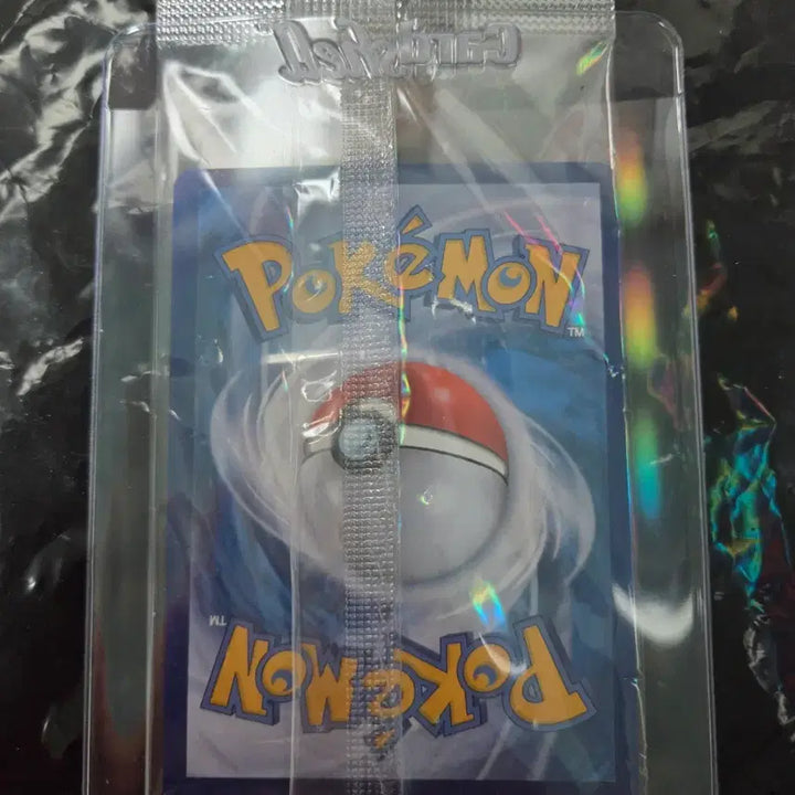 [SOLD OUT] 실드전 비크티니 프로모 SR 포켓몬카드 판매합니다.