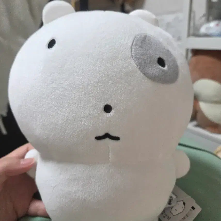 [BUNJANG] Cat Plush Doll / 눈멍냥이 인형
