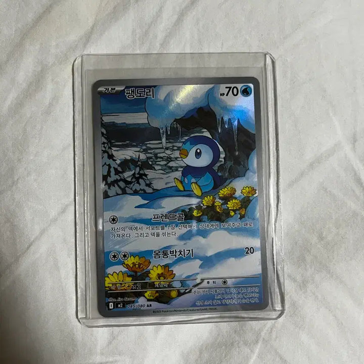 [BUNJANG] Assorted Pokemon Cards - Various Rarity (SAR, AR, SR) / 춤추새 sar, 명희의 격려sr, 메가화염레오 sr, 팽도리 ar 등