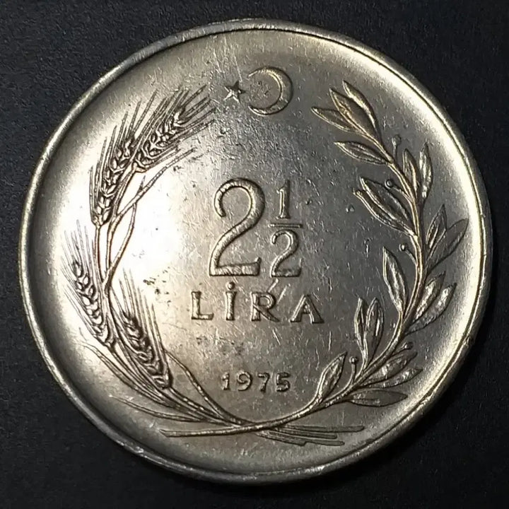 [BUNJANG] 1975 Turkey 2.5 Lira Coin / 1975년 튀르키예 2.5 리라 동전 w1183
