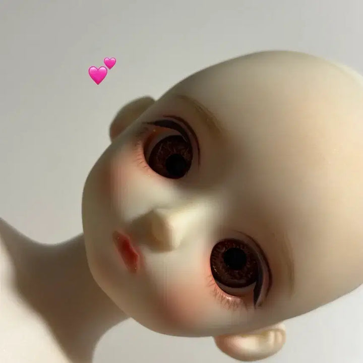 [BUNJANG] LinaShoo Miyo Head + Chicabi Shin Body (USD) / 리나슈슈 미요 + 치카비 신바디 usd