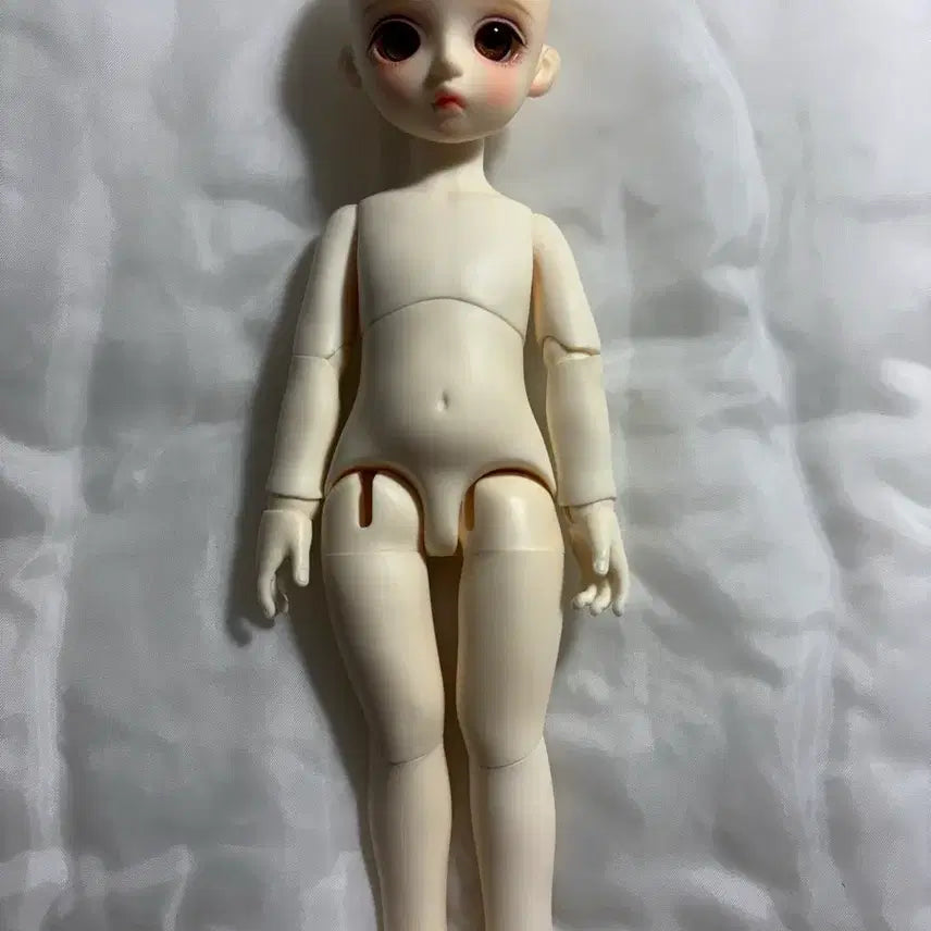 [BUNJANG] LinaShoo Miyo Head + Chicabi Shin Body (USD) / 리나슈슈 미요 + 치카비 신바디 usd