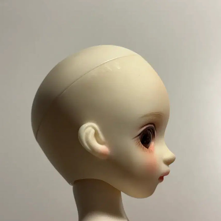 [BUNJANG] LinaShoo Miyo Head + Chicabi Shin Body (USD) / 리나슈슈 미요 + 치카비 신바디 usd