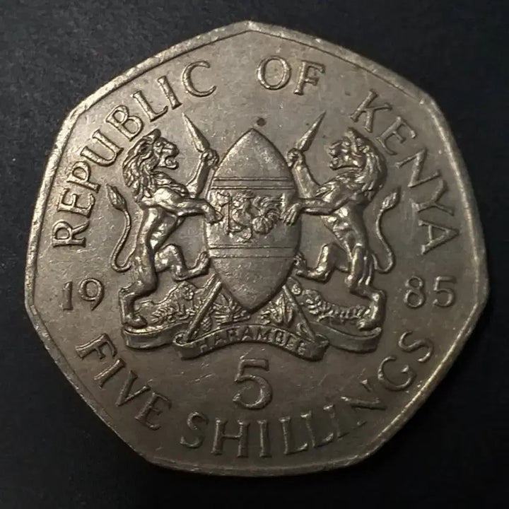 [BUNJANG] 1985 Kenya 5 Shillings Coin / 1985년 케냐 5실링 동전 w1186