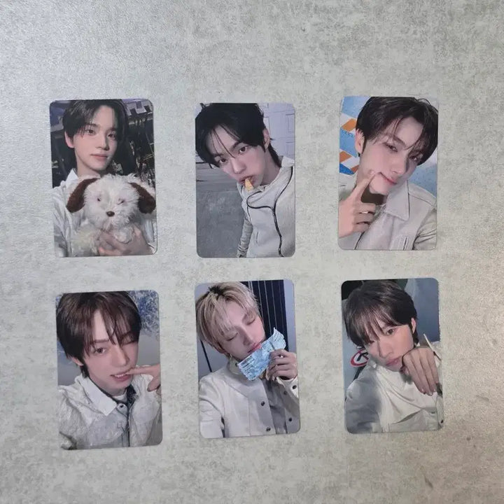 [BUNJANG] TWS BLOOD)” Blood Moon” Special Event Photocard / 투어스 블드미 팬싸 특전포카