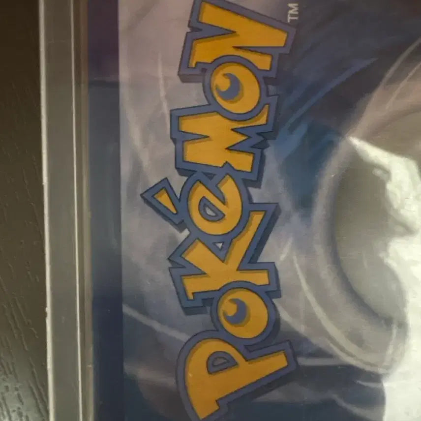 [BUNJANG] Rayquaza VMAX Special Illustration Rare Bundle Set / 레쿠쟈 특일 일괄판매