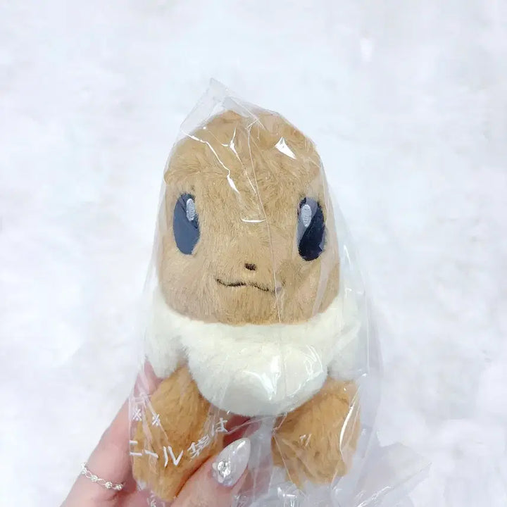 [BUNJANG] Eeevee Plush Toy / 최저가) 쿠타쿠타탓타 이브이 인형
