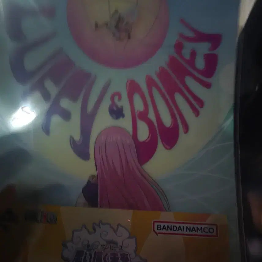 [BUNJANG] One Piece Bonney L-Folder / 원피스 보니 L자 파일