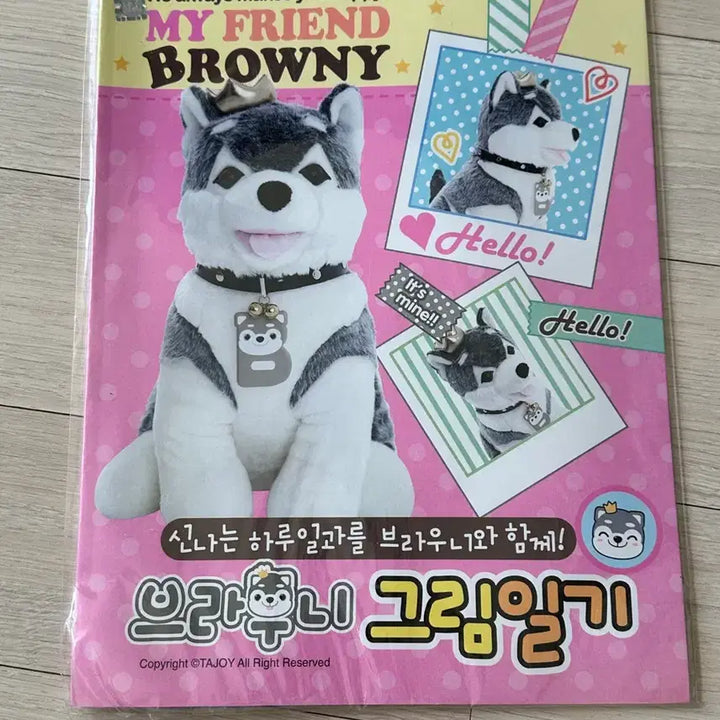 [BUNJANG] Brownie Diary Page Set / 고전 브라우니 그림일기 (개별)