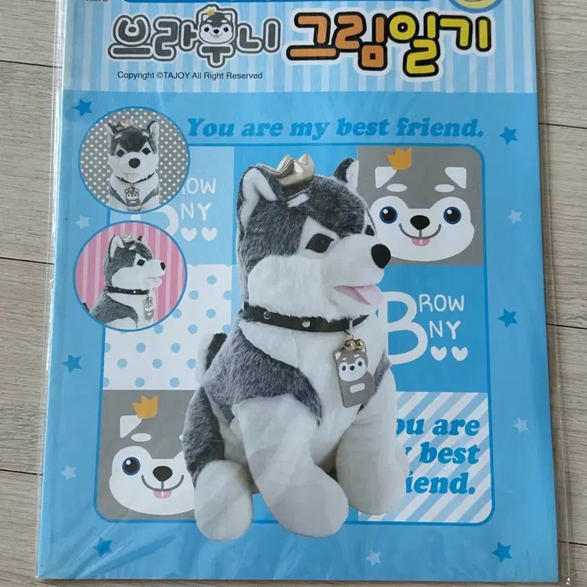 [BUNJANG] Brownie Diary Page Set / 고전 브라우니 그림일기 (개별)
