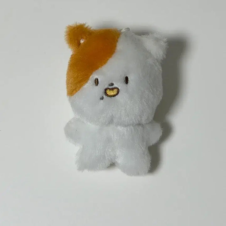 [BUNJANG] NCT Dream Jisung Pocket J Dols Bundle Set / Nct dream 엔시티 드림 지성 인형 포켓찌 포켓찌송 양도합니다.