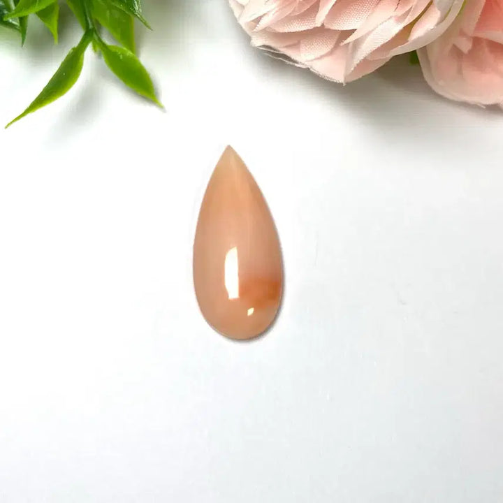 [BUNJANG] Natural Coral Cabochon Gemstone / 천연 산호 캐보션 원석  소장품 보석
