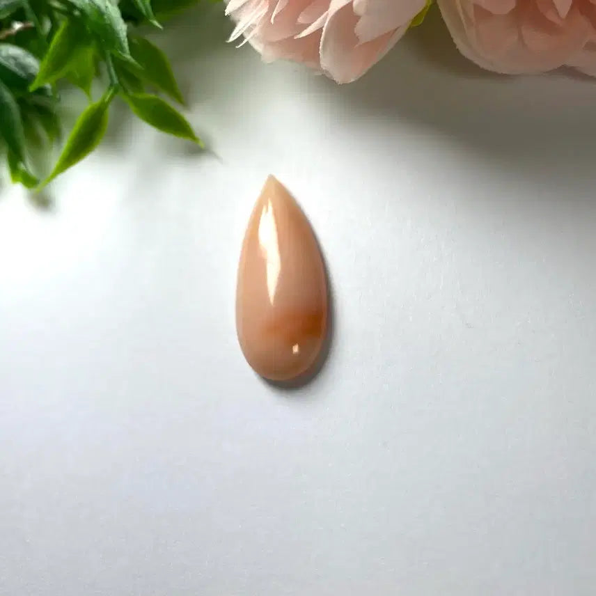 [BUNJANG] Natural Coral Cabochon Gemstone / 천연 산호 캐보션 원석  소장품 보석