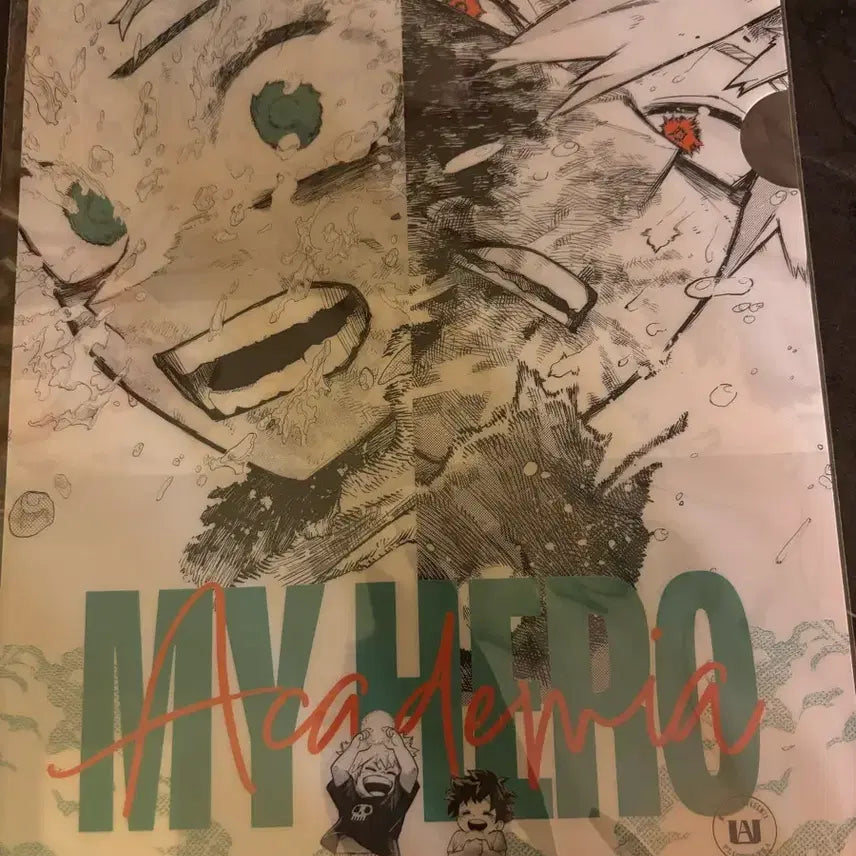 [BUNJANG] My Hero Academia Clear File (Unsealed) / 나히아 히로아카 클리어파일 미개봉