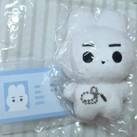 [BUNJANG] Enhypen Sunghoon Hoongki Doll (Sealed) / 미개봉) 엔하이픈 성훈 인형 훙끼 양도