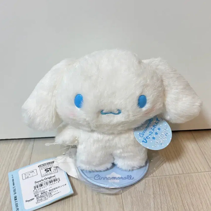[BUNJANG] Cinnamoroll Pittotto S-Size Plush / 시나모롤 피탓토 S사이즈 급 처분