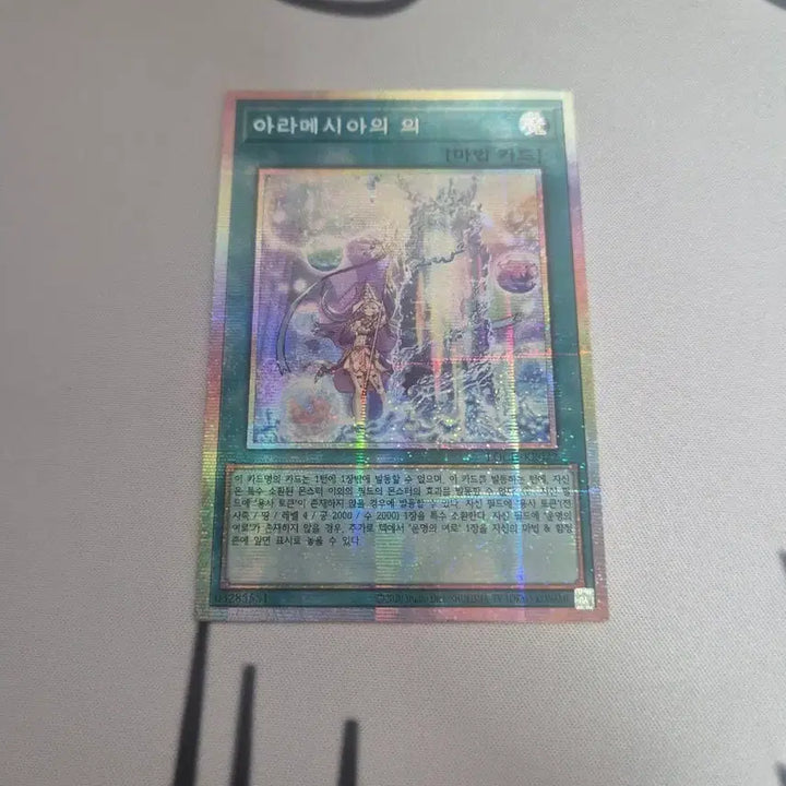 [BUNJANG] Yu-Gi-Oh! Pharaoh&