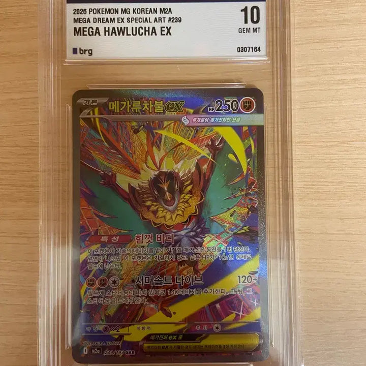 [BUNJANG] Pokemon Card Mega Charizard EX BRG 10 Graded / 포켓몬카드 메가루차불 EX brg10등급