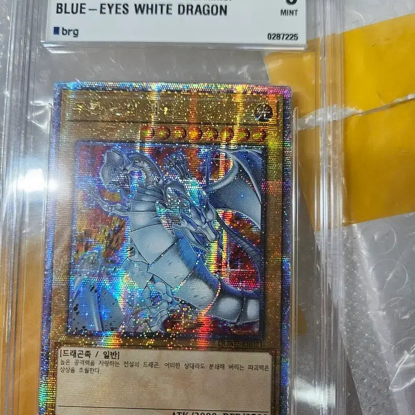 [BUNJANG] Blue-Eyes White Dragon (New Illustration) Quarter Century Secret Rare BRG9 / 푸른눈의 백룡 신일러 쿼싴 BRG9