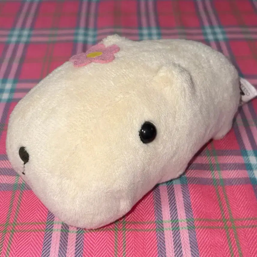 [BUNJANG] Capybara-san Light-Up Cheeks Figure / 카피바라상