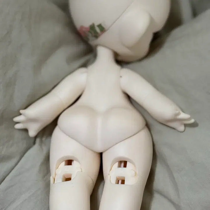 [BUNJANG] BJD Doll (USD Compatible) Anime / 구체관절인형 솜구관 usd호환 아니메