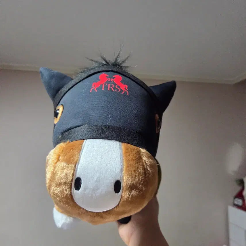 [BUNJANG] Uma Musume Large Character Plush / 일본 경주마 승마 말 인형 굿즈 우마무스메 말딸 대형 캐릭터 경마 16번