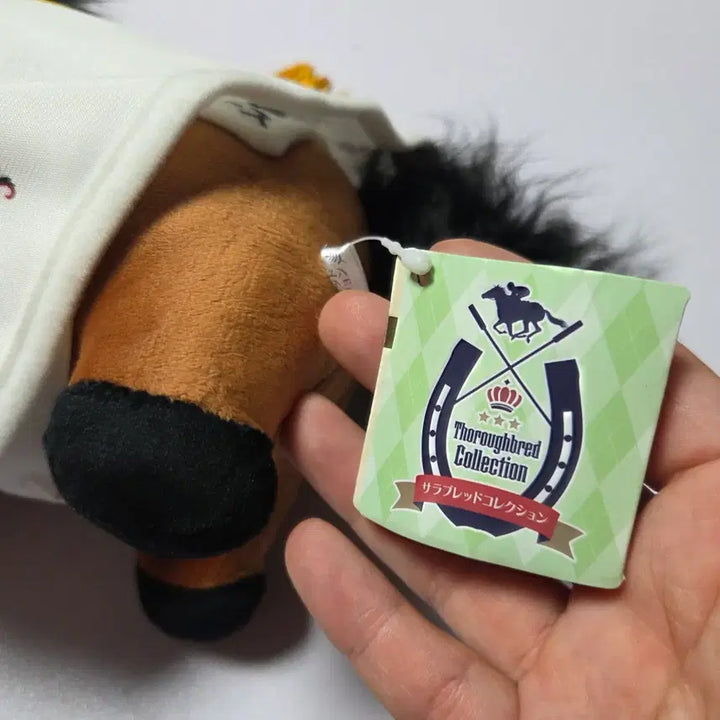 [BUNJANG] Uma Musume Horse Racing Character Plush Doll / 일본 경주마 승마 말 인형 굿즈 우마무스메 말딸 경마 캐릭터 경마 22년