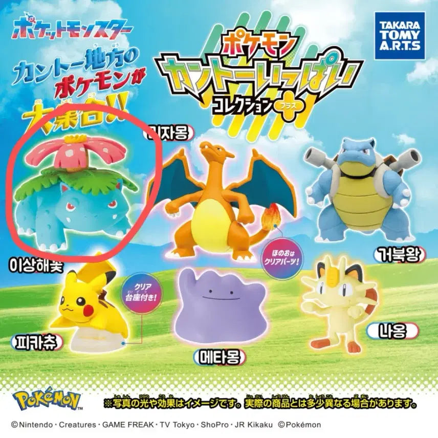 [BUNJANG] Pokemon Kanto Region Gacha - Venusaur / 포켓몬 관동지방 가챠 - 이상해꽃