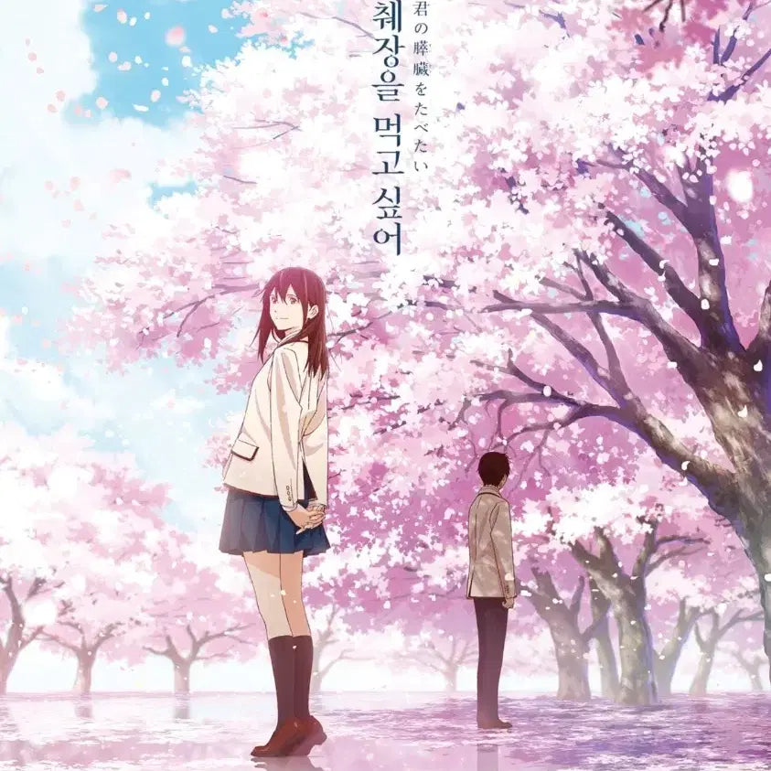 [BUNJANG] I Want to Eat Your Pancreas Poster / 너의 췌장을 먹고 싶어 포스터 (타쿠나)