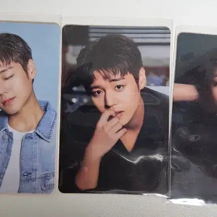 [BUNJANG] Park Jihoon Giyoungi 5 Types Bundle Set Photocard / 기영이 박지훈 포카 5종 풀셋 일괄판매