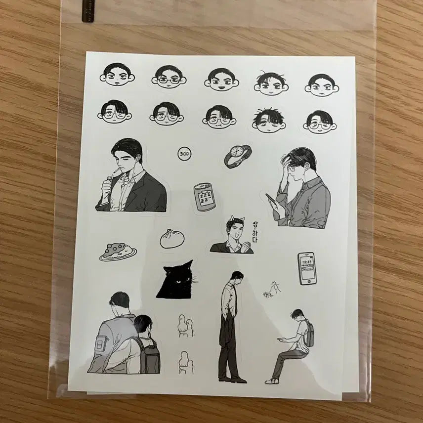 [BUNJANG] Karaoke Gaja Kyo Sato Sticker Set / 가라오케가자 쿄사토 가라가자 비공굿 스티커