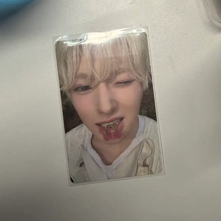 [BUNJANG] NCT WISH Vicsmini Sakuya Photocard / nct wish 빅스미니 사쿠야 포카