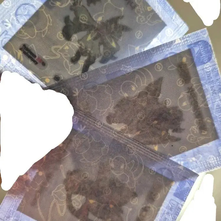 [BUNJANG] Pokemon Sticker Collection (Sealed) / 포켓몬스터 띠부씰 팝니다.