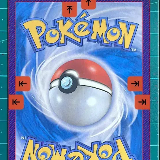 [BUNJANG] Mewtwo SAR Graded Card / 등급용 메가 개굴닌다 SAR