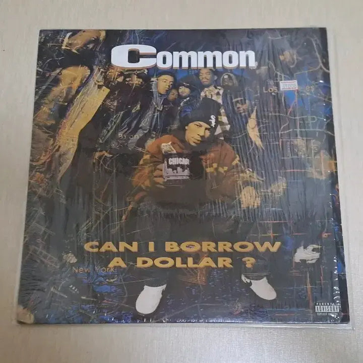 [BUNJANG] Common - Can I Borrow a Dollar? (Debut Album, 1st Press) / common-can I borrow a dollar? 초판