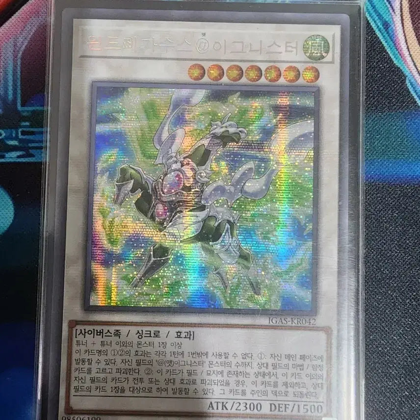 [BUNJANG] Yu-Gi-Oh! Wind Pegasus Ignister Secret Rare / 유희왕 윈드페가수스 이그니스터 시크