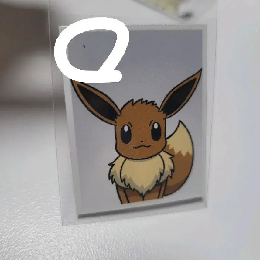 [BUNJANG] Pokemon Eevee Photocard (Mint Condition) / 하자ㅇ)포켓몬 이브이 증명사진 증사