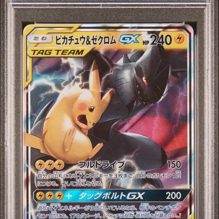 [BUNJANG] Pokemon Pikachu x Zekrom Tag PSA 10 / [일판] 포켓몬스터 피카츄 x 제크로무 태그 psa10