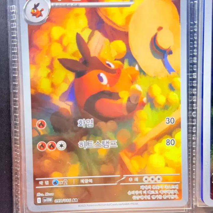 [BUNJANG] Pokemon Card AR / 포켓몬 카드 AR