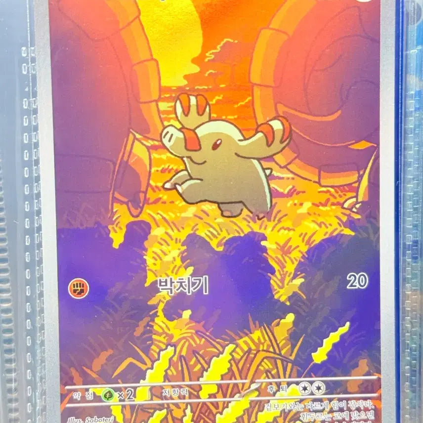 [BUNJANG] Pokemon Card AR / 포켓몬 카드 AR