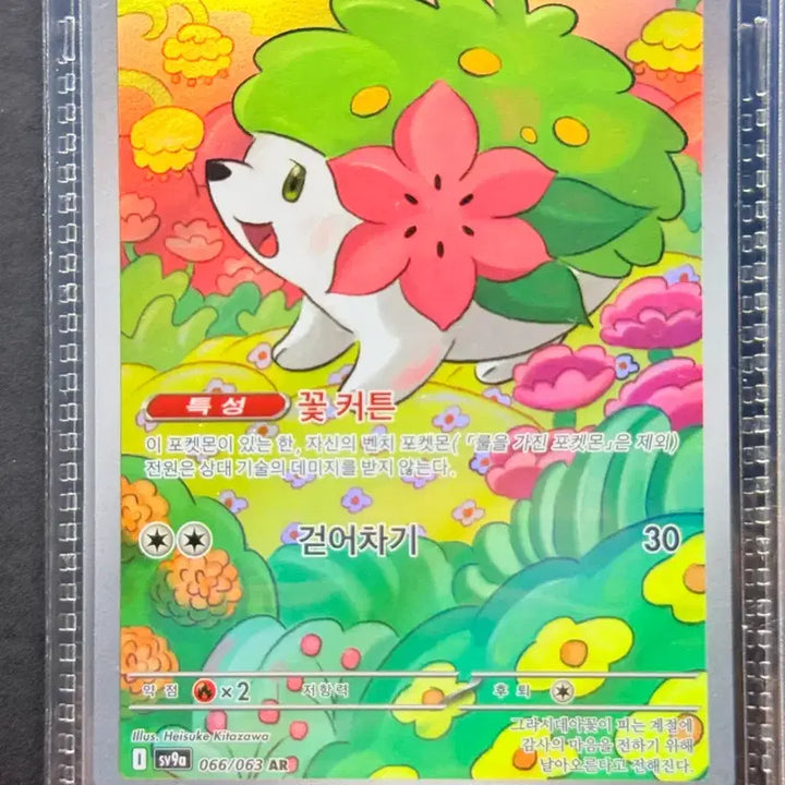 [BUNJANG] Pokemon Card AR Grade / 포켓몬 카드 AR