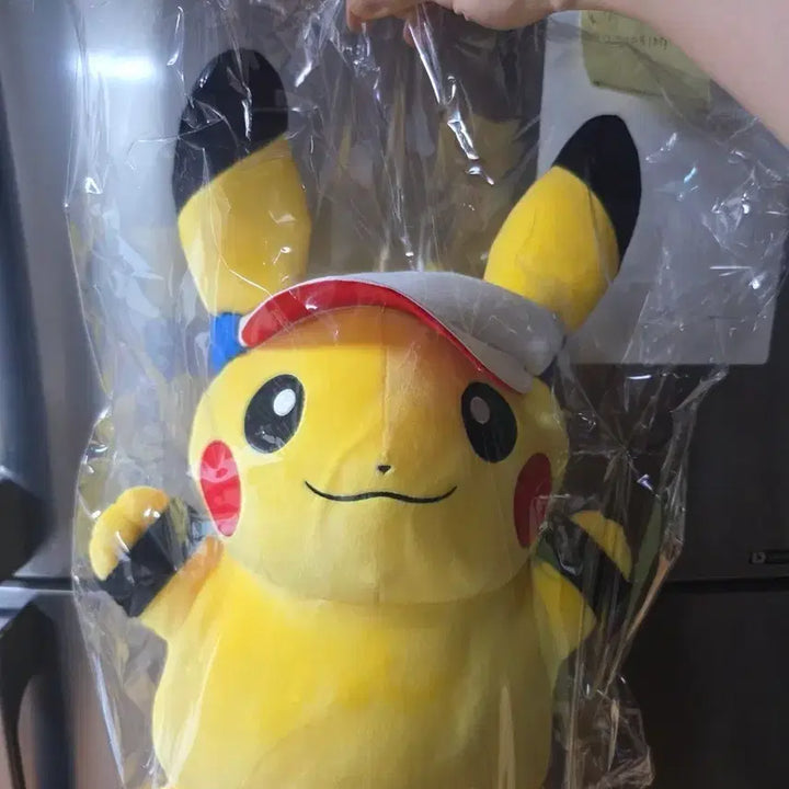 [BUNJANG] Pokemon Run Pikachu Large Plush Doll / 포켓몬 런 피카츄 대인형