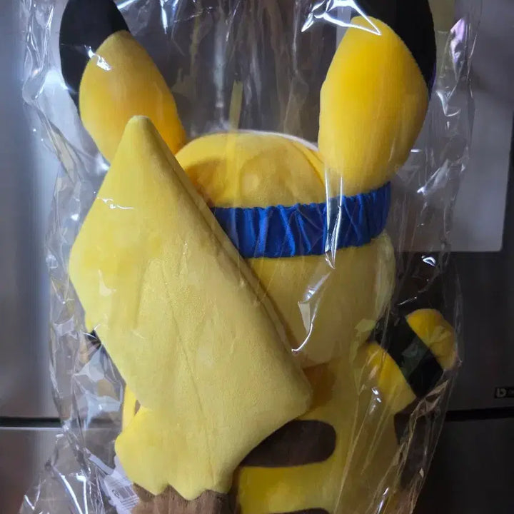 [BUNJANG] Pokemon Run Pikachu Large Plush Doll / 포켓몬 런 피카츄 대인형