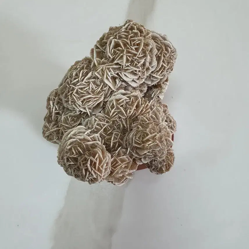 [BUNJANG] Desert Rose Crystal Sculpture / 수석- 사막의 장미