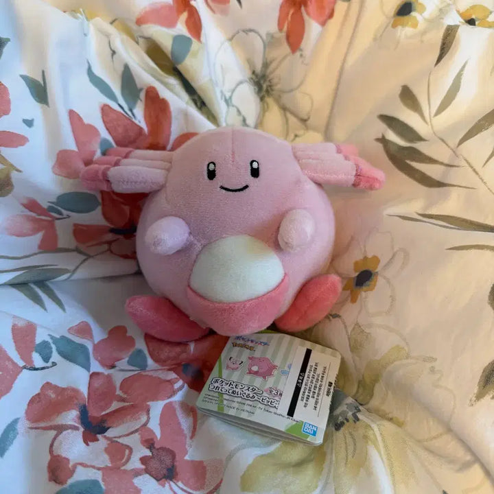 [BUNJANG] Pokemon Lucky Plush Doll / 포켓몬팝업 포켓몬 럭키 봉제인형