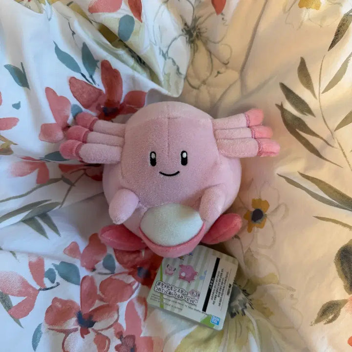 [BUNJANG] Pokemon Lucky Plush Doll / 포켓몬팝업 포켓몬 럭키 봉제인형